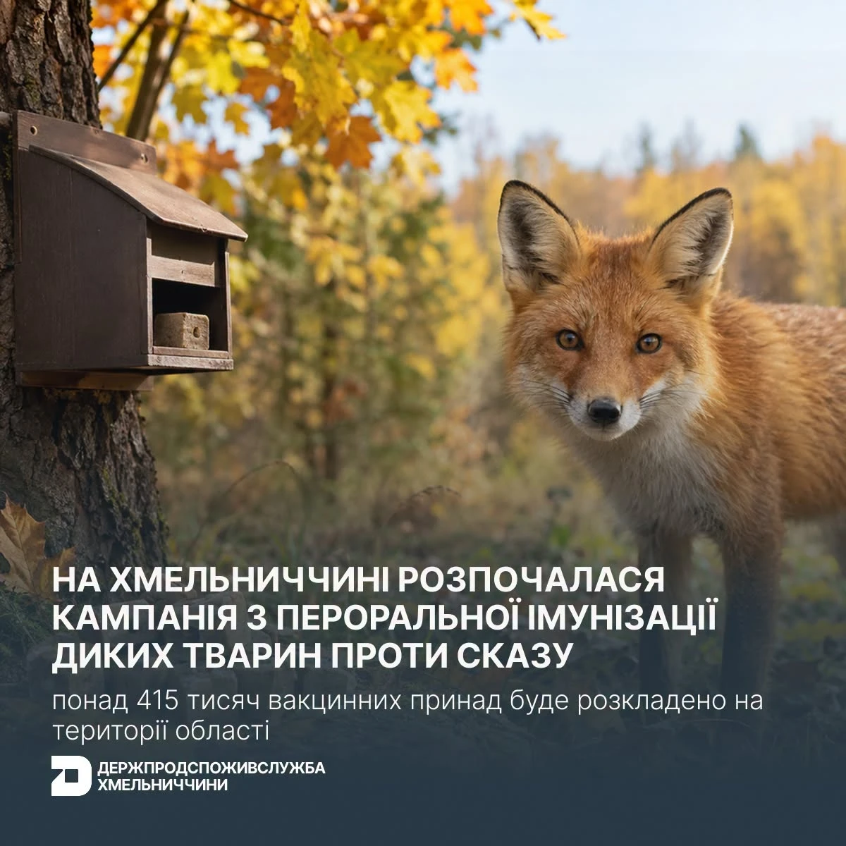 На Хмельниччині розкладають вакцину від сказу для диких тварин