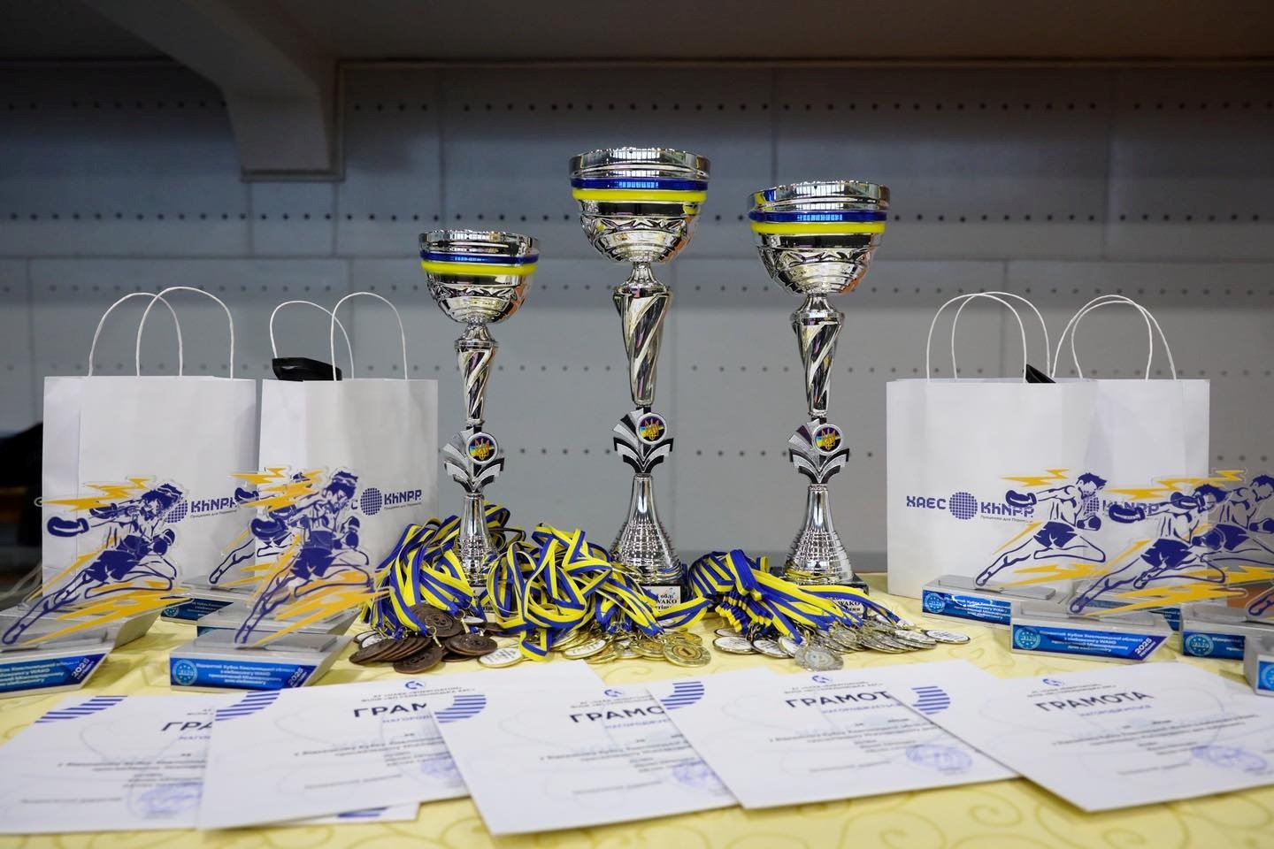 У Нетішині проведено відкритий Кубок Хмельницької області з кікбоксингу WAKO