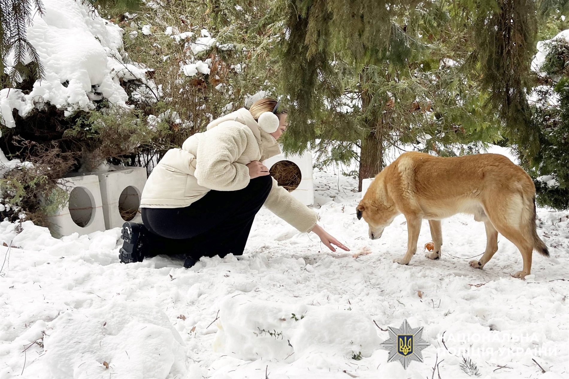 Офіцери Служби Освітньої Безпеки, кінологи та школярі об'єднались в допомозі бездомним тваринам