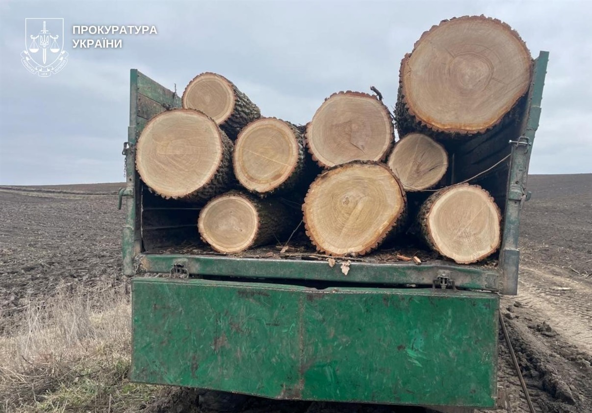 Майстра лісу засуджено до реального ув’язнення за спробу привласнити деревину на 400 тисяч